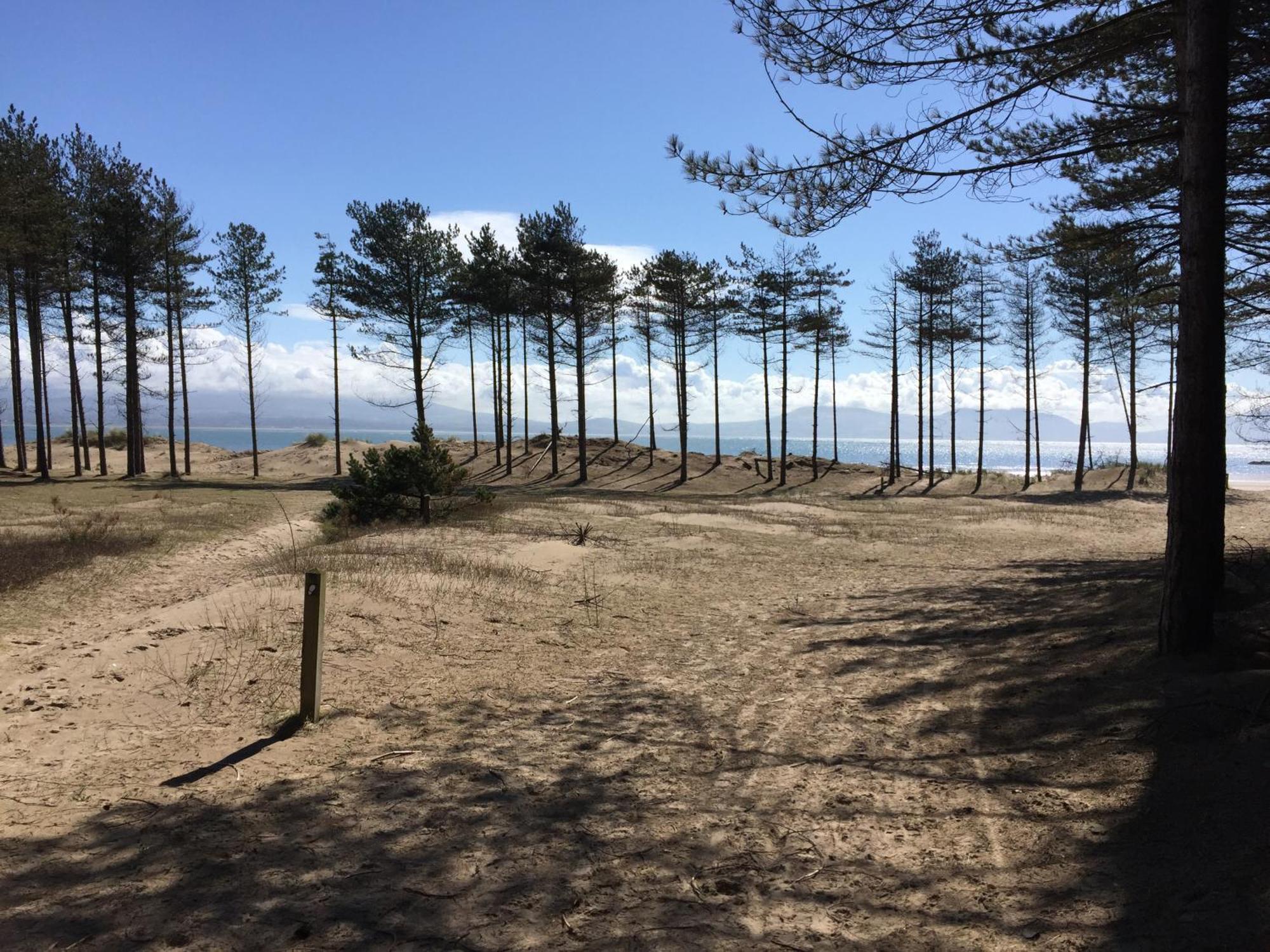 Llanw Malltraeth - Malltraeth Tides Llangadwaladr  Buitenkant foto